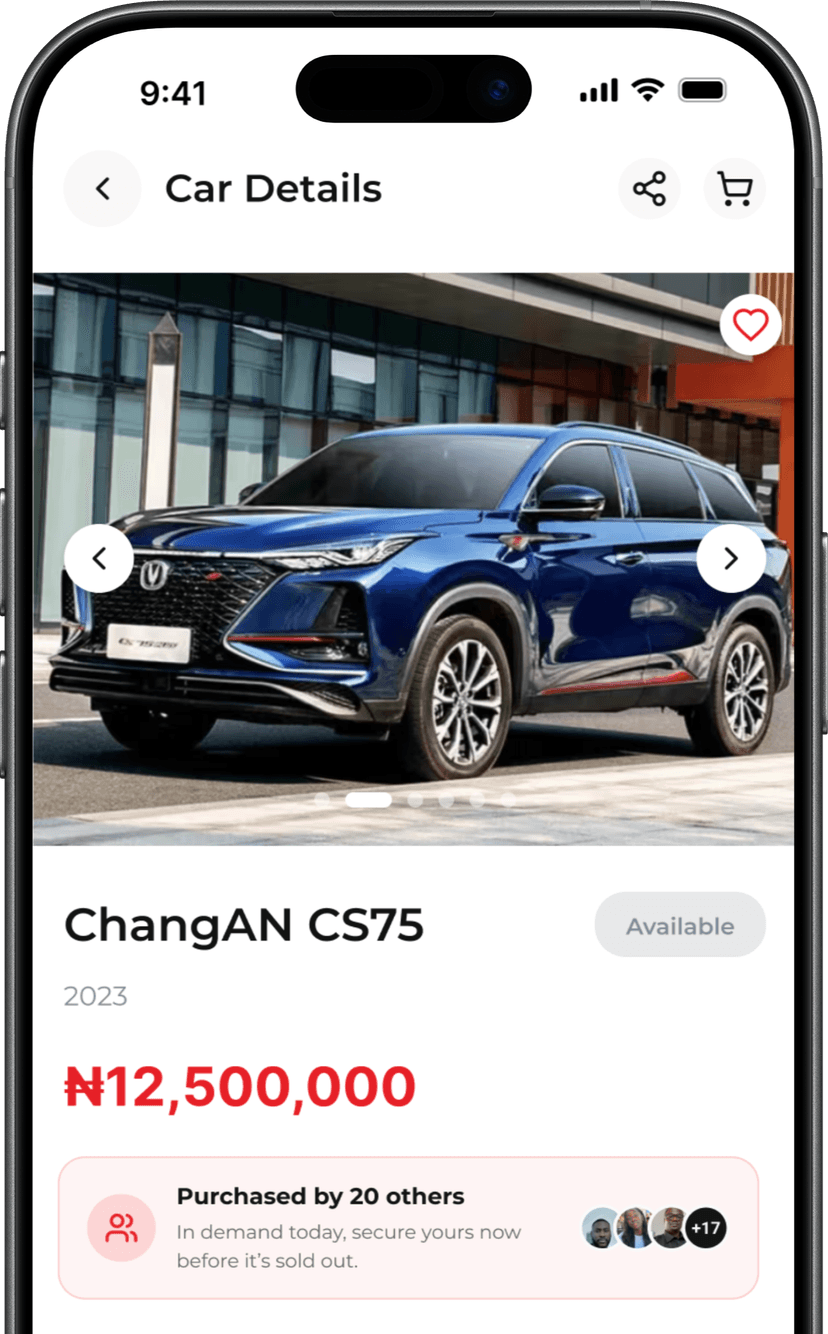 Car Details Interface